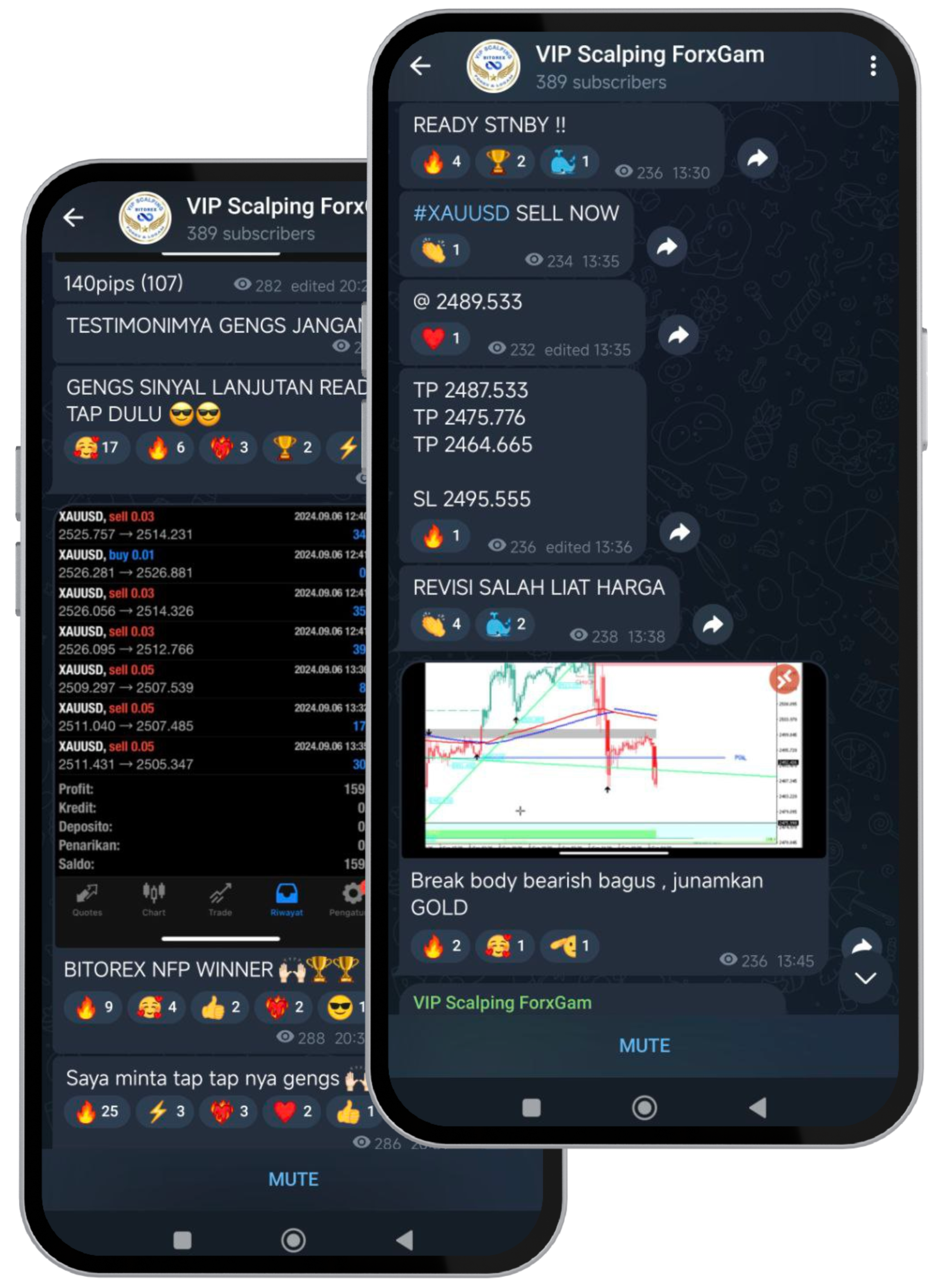 VIP <span class="bg-gradient-to-r from-sky-500 to-purple-500 bg-clip-text text-transparent">Scalping GOLD</span> 0