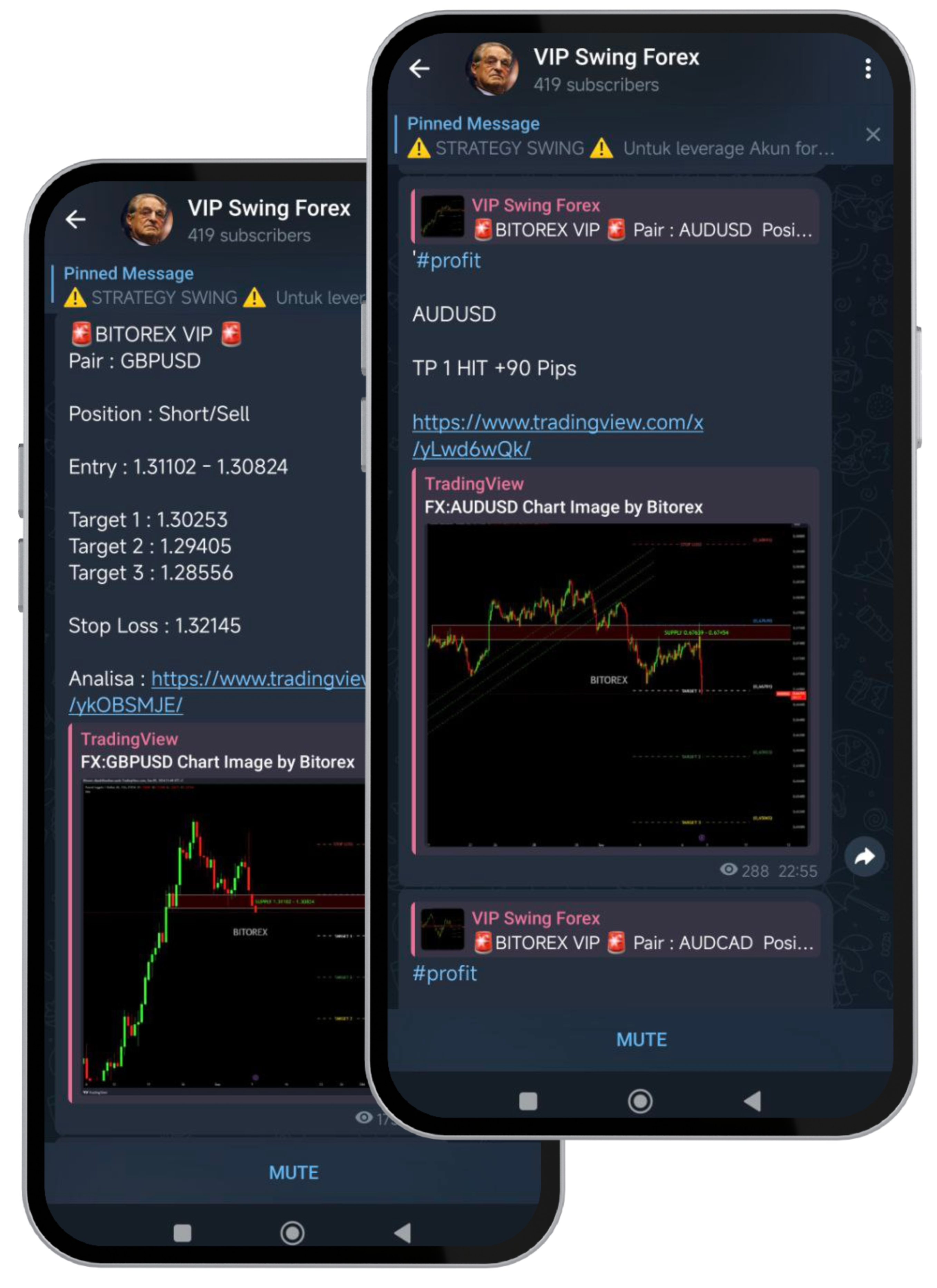 VIP <span class="bg-gradient-to-r from-sky-500 to-purple-500 bg-clip-text text-transparent">Swing Forex</span> 0